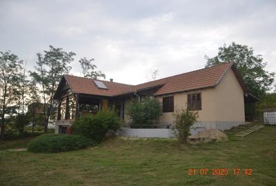 Casă individuală cu 4 camere cu Teren 1458 Mp în Paleu - 2
