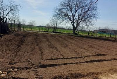 Teren de 1300 mp, în Felnac