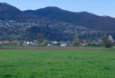 Teren de 2990 mp, în Alexandru cel Bun - 4