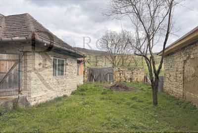 Casă individuală cu 2 camere cu Teren 2200 Mp în Făureni - 28