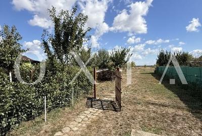LX297 Casa Parta, spatioasa, teren generos - 16