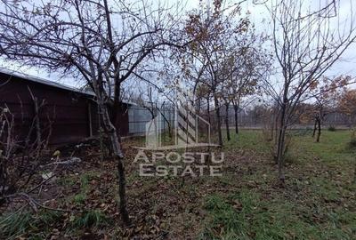 Casa alipita cu teren, necesita renovari, situata in zona... - 5