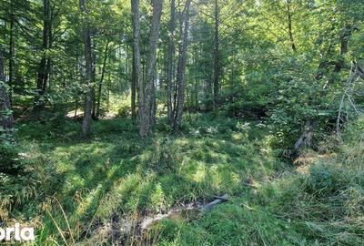 Teren de 440 mp, în Dumbrăvița - 3