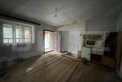 Casa cu 2 camere in Densus, 20 km de Manastirea Prinslop - 1