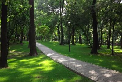 Teren Construcții intravilan de 630 mp, în Kiseleff - 3