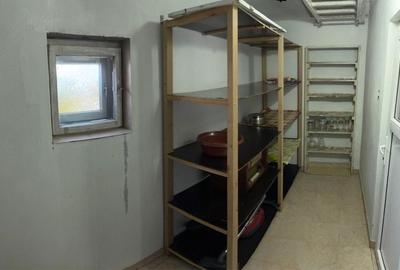 Casă cu 3 camere în Cărpiniș - 15