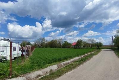 SUPER OCAZIE SE VINDE TEREN LA CEL MAI MIC PRET LA DELTA NEAJLOVULUI BUDENI GR - 6