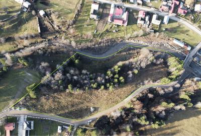 Teren intravilan de 14927 mp, în Vatra Moldoviței - 4