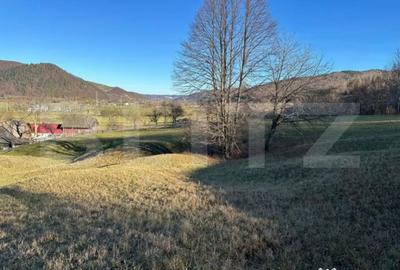 Teren de 12000 mp, în Central