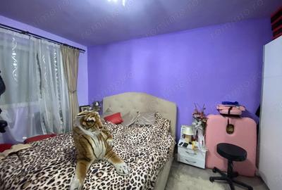 COMISION 0 | Apartament 3 Camere | Et. 2 | Izolat | Centrala | Sagului - 2