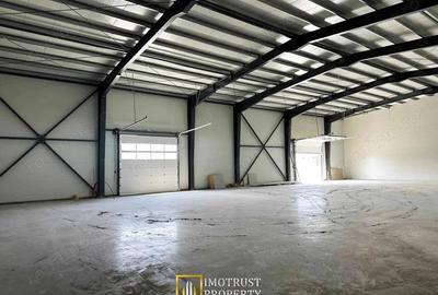 Hala industriala noua 700 mp | 350 mp Micalaca Est Arad - 2