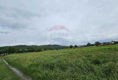 Teren de 1495 mp, în Dobreni - 12