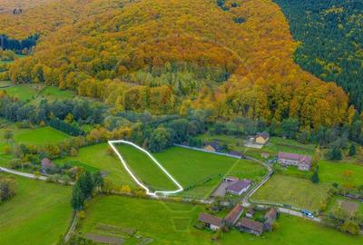 COMISION 0% Teren 3,109mp Dobarlau/ Par?ial intravilan - 5