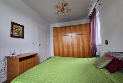 Apartament cu 2 camere semidecomandat, mobilat în Giroc - 10