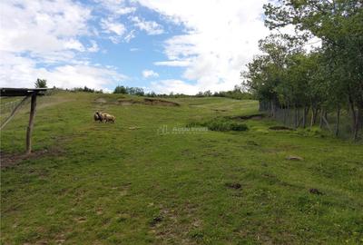 Teren extravilan 10000 mp, com Panatau - 5