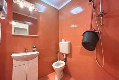 Apartament renovat, 3 camere, 60 mp utili, parter - zona Lipovei - 11