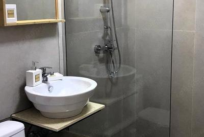 Apartament 2 camere zona Aviatorilor - 2