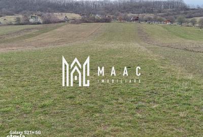 Spațiu comercial, în Cristian