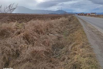 Teren de 9000 mp, în Est - 7