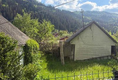 Casă cu 4 camere în Poiana Largului - 3