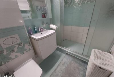 Apartament cu 2 camere decomandat, mobilat în Doamna Ghica - 10
