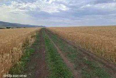 Teren Extravilan Pribesti, ID: R2774827 - 4