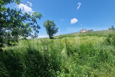 Casă individuală cu 5 camere cu Teren 2235 Mp în Rotbav - 11
