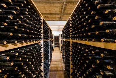 Proprietate specială, de 1,000 mp, în Ghioroc - 3