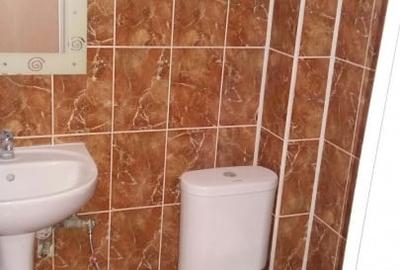 Apartament spatios si insorit str Carpatilor colt cu str Berzei - 8