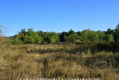 BUDESTI, TEREN 1000 MP, PRIVELISTE MINUNATA - 4