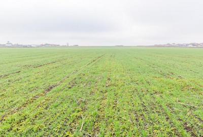 CERNICA - POSTA - TEREN INTRAVILAN CONSTRUCTII 15000 MP! - 9