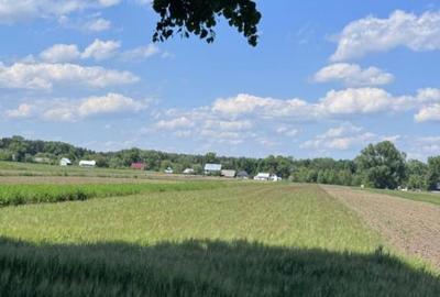 Teren extravilan, 4000mp, Fratautii vechi - 1