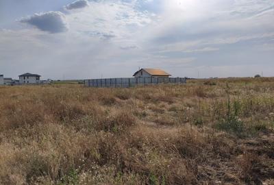 Teren intravilan, 320 mp - Str Primaverii, Berceni Teren intravilan, 320 mp - Str Primaverii, Berceni - 4