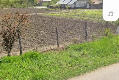 Casa la ?ara cu 5500mp teren Casa la ?ara cu 5500mp teren - 3