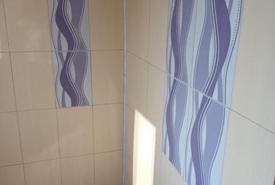 Vand garsoniera localitatea Ticleni - 2