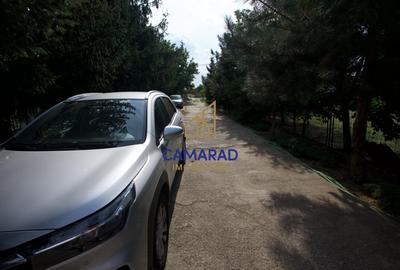 Proprietate cu casa si teren de 9000 mp - ideal investitie - Fundeni/Calarasi - 4