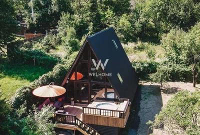 Cabana superba  , teren 1000 mp, Tocile