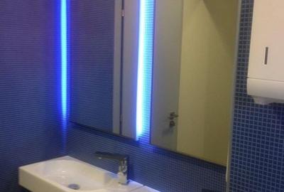 SPATIU COMERCIAL BIROURI ZONA FLOREASCA BARBU VACARESCU - 4