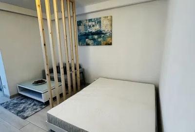 Apartament cu 1 camere decomandat, mobilat în Iancului - 3