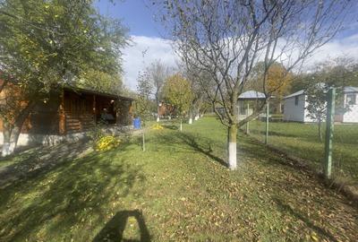 Casute Breaza, teren 1140 mp Casute Breaza, teren 1140 mp - 16