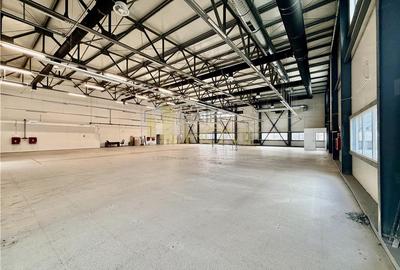 Hala industriala premium cu birouri | Parc Industrial Vest | Acces TIR - 3