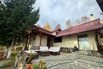 Casă cu 4 camere cu Teren 1527 Mp în Tăuții de Sus - 14