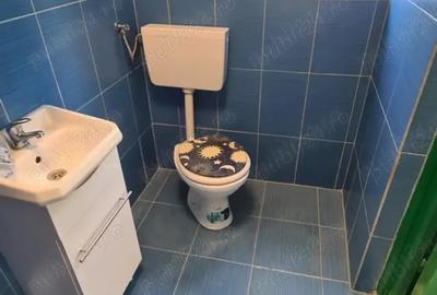 Casă cu 3 camere în Tismana - 5