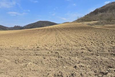 Spațiu comercial, în Prod - 8