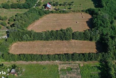 Teren de 2763 mp, în Porumbacu de Jos - 2