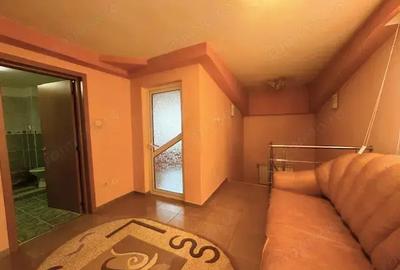 Se inchiriaza sau se VINDE casa Str Plevnei 1386 mp teren intravilan - 10