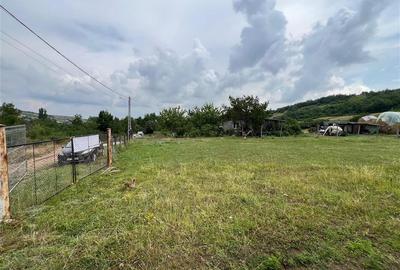 Teren Construcții intravilan de 3750 mp, în Tomești - 4