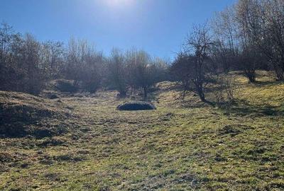 Spațiu comercial, în Breaza - 4