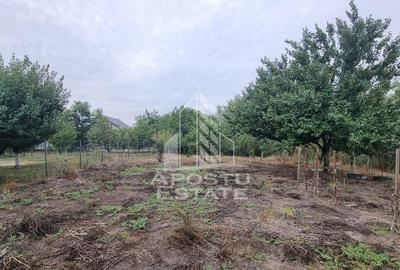 Casă cu 3 camere cu Teren 1800 Mp în Covaci - 4