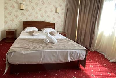 Casă individuală cu 17 camere cu Canalizare în Est - 5